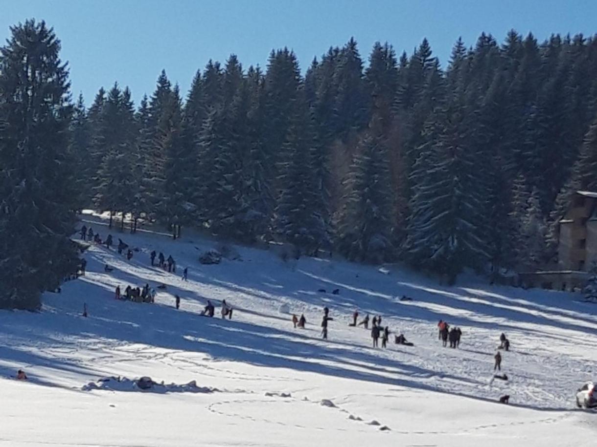 Apartman Zlatar-Vasiljevic Nova Varoš Dış mekan fotoğraf